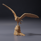 Photo du modèle animalier Animal Den Miniatures 0 : animal sauvage : effraie des clochers d’Amérique — en vol (26_10_07)