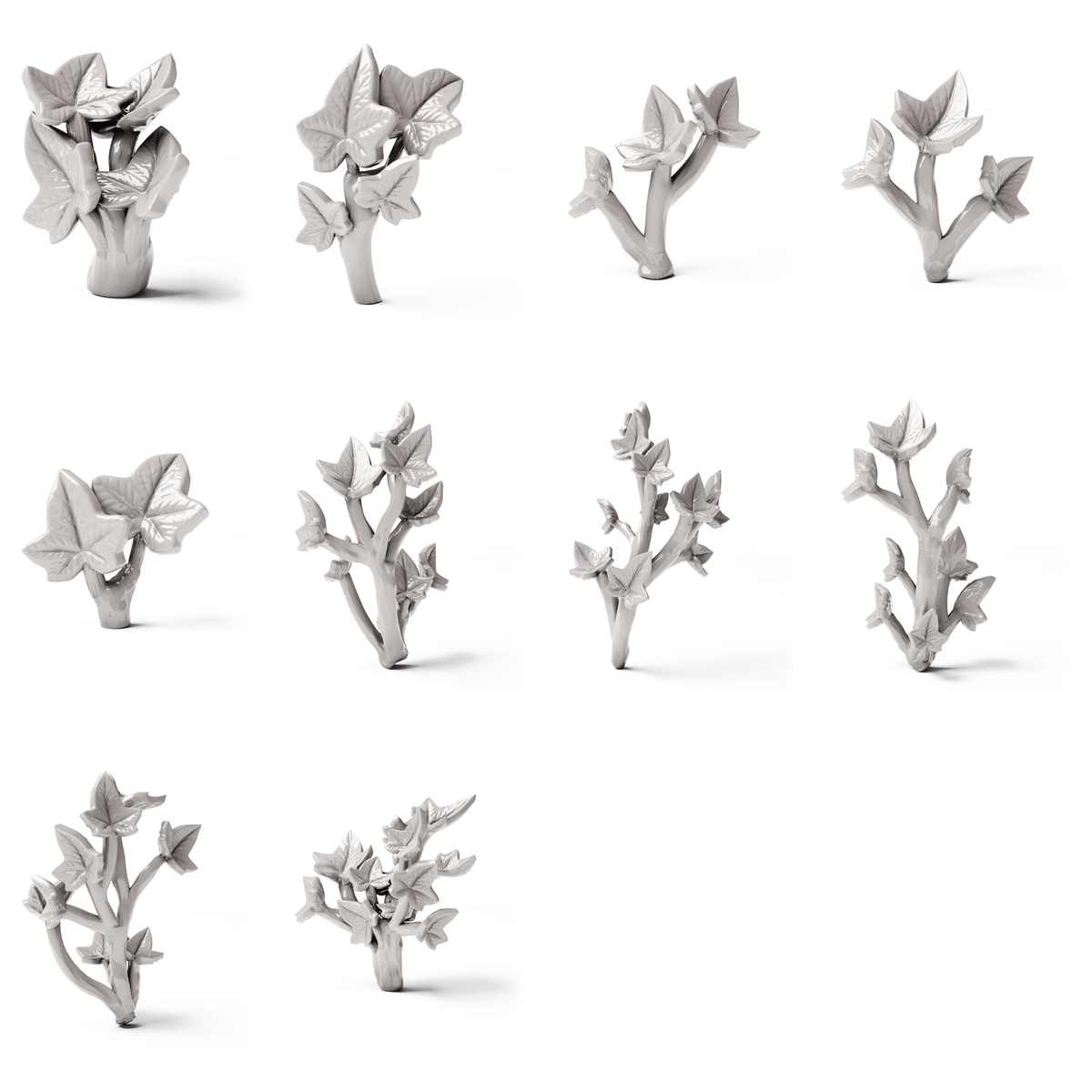 Set 04: 10 plantes miniatures sur fond blanc (lierre)