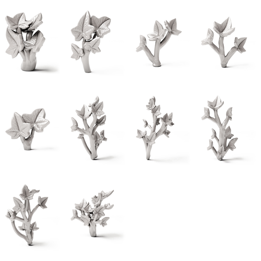 Set 04: 10 plantes miniatures sur fond blanc (lierre)