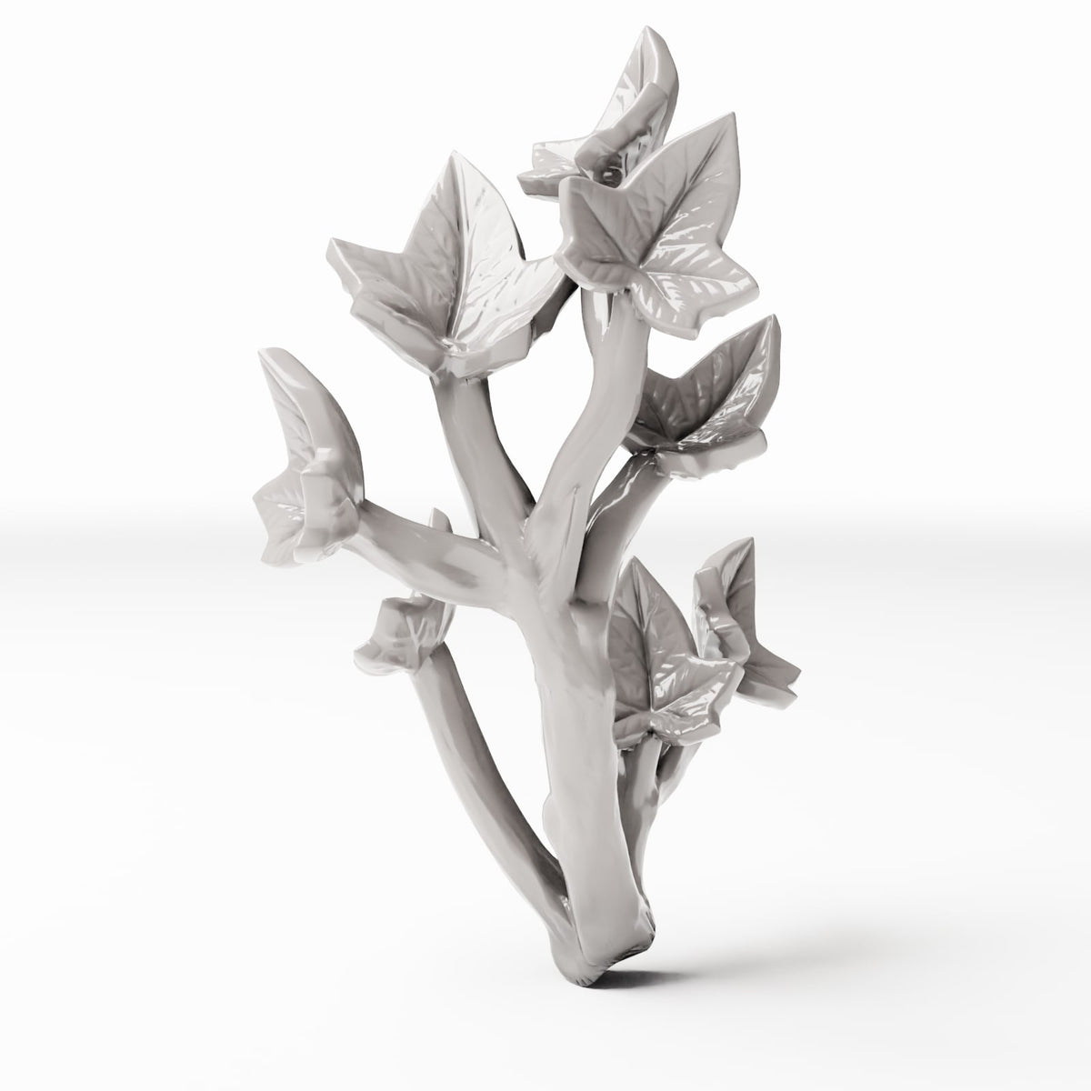 Set 04: plante miniature réf. 532D, vue individuelle sur fond blanc (lierre)