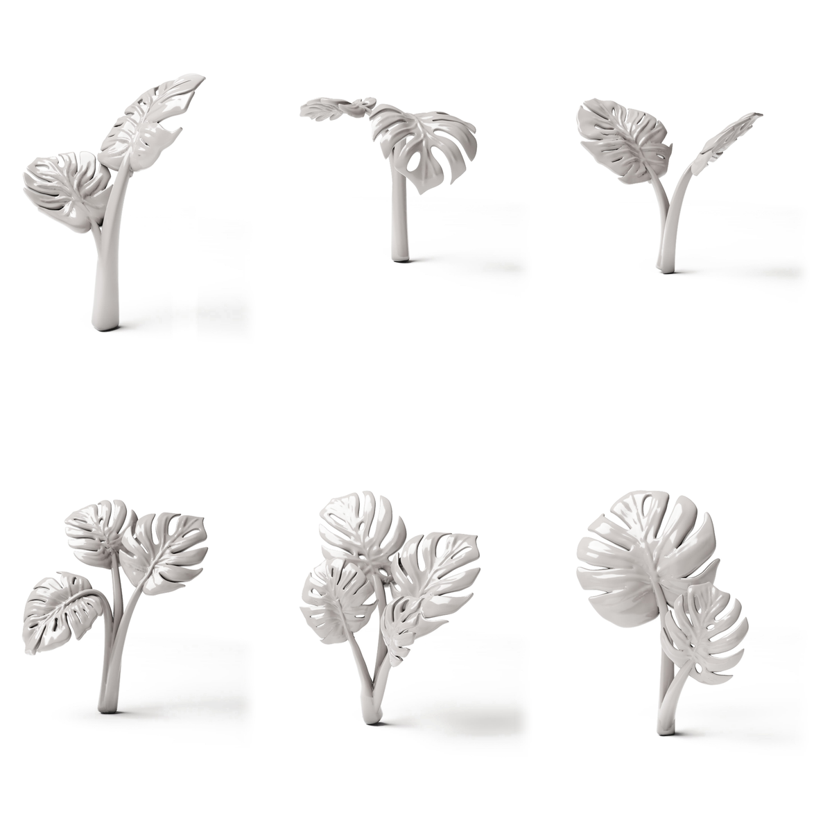 Set 05: 6 plantes miniatures sur fond blanc (Monstera)