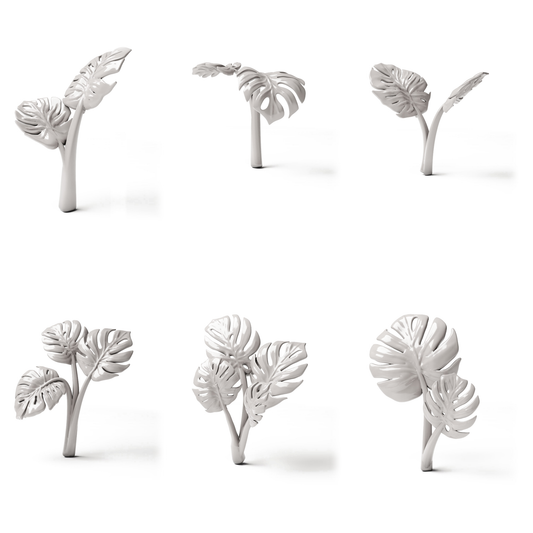Set 05: 6 plantes miniatures sur fond blanc (Monstera)