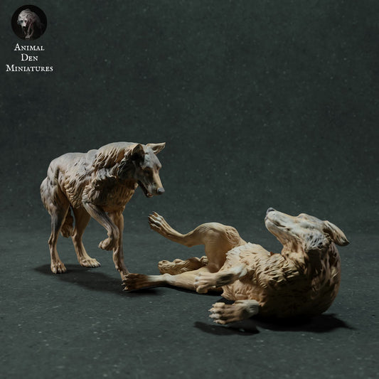 Produktfoto Tier Figur Diorama, Modellbau: 0: Wildtier Figur: Iberische Wölfe – Spielende Szene (Ref 01_01_29)