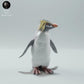 Photo du produit Figurine d'animal Diorama, Modélisme : 0 : Figurine marine : Pingouin des rochers – Rockhopper (Réf 01_01_64)
