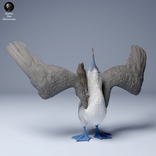 Produktfoto Tier Figur Diorama, Modellbau: 0: Meerestier Figur: Blaufußtölpel – Tanzende Pose (Ref 24_08_08)