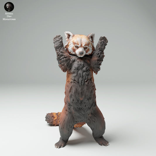 Produktfoto Tier Figur Diorama, Modellbau: 0: Wildtier Figur: Roter Panda – Ailurus fulgens (Ref 25_02_01)