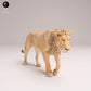 Photo de produit Figurine animale Diorama, modélisme : 0 : Figurine de faune : Lion – Jeune (Réf 25_08_12)