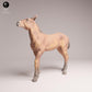 Photo de produit Figurine animale Diorama, modélisme : 0 : Figurine animale de ferme : Veau Mustang – Poulain (Réf 25_09_13)