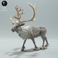 Photo de produit Figurine animale Diorama, modélisme : 0 : Figurine de faune : mâle caribou appelant (Réf 01_01_70)