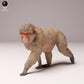 Produktfoto Tier Figur Diorama, Modellbau: 0: Wildtier Figur: Japanischer Makak – Schneeaffe (Ref 24_10_09)