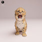 Produktfoto Tier Figur Diorama, Modellbau: 0: Wildtier Figur: Amur Leopard Junges – brüllend (Ref 25_07_14)