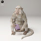 Produktfoto Tier Figur Diorama, Modellbau: 0: Dschungel Tier Figur: Javaneraffe mit gestohlenem Handy (Ref 24_09_11)