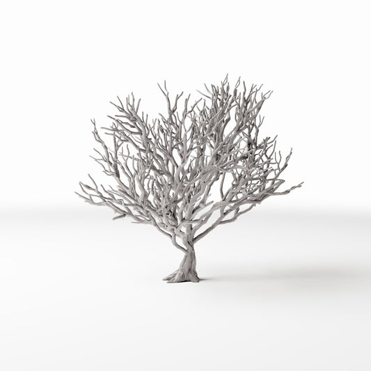 Photo produit pour diorama et modélisme 0 : Plantes pour diorama : buisson sans feuilles avec racines (Ref. 1091D)