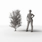 Photo produit pour diorama et modélisme 1 : Végétation pour diorama : grand arbre sans feuilles avec racines (Ref. 1092D)