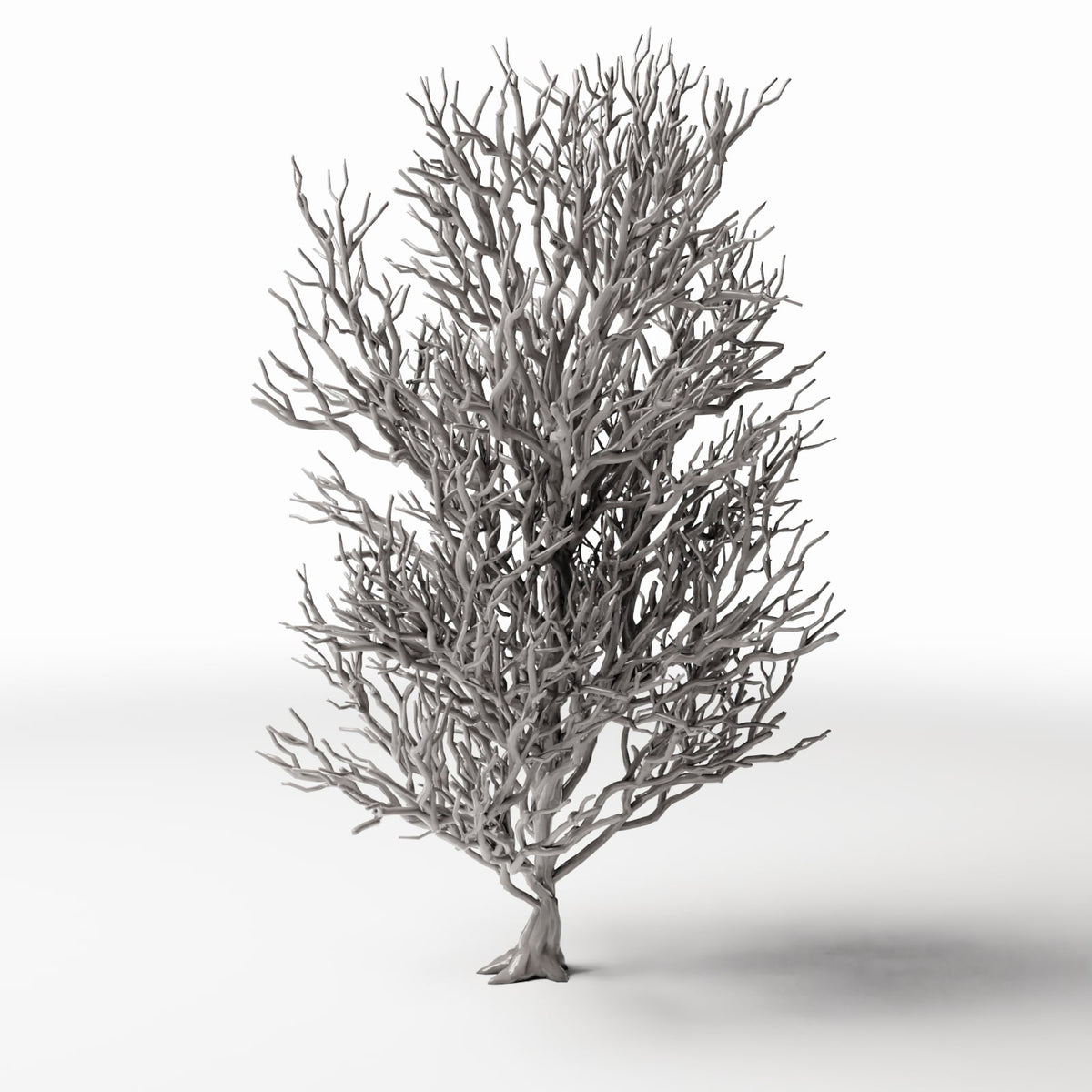 Photo produit pour diorama et modélisme 0 : Végétation pour diorama : grand arbre sans feuilles avec racines (Ref. 1092D)