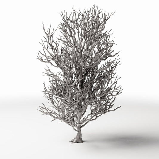 Photo produit pour diorama et modélisme 0 : Végétation pour diorama : grand arbre sans feuilles avec racines (Ref. 1092D)