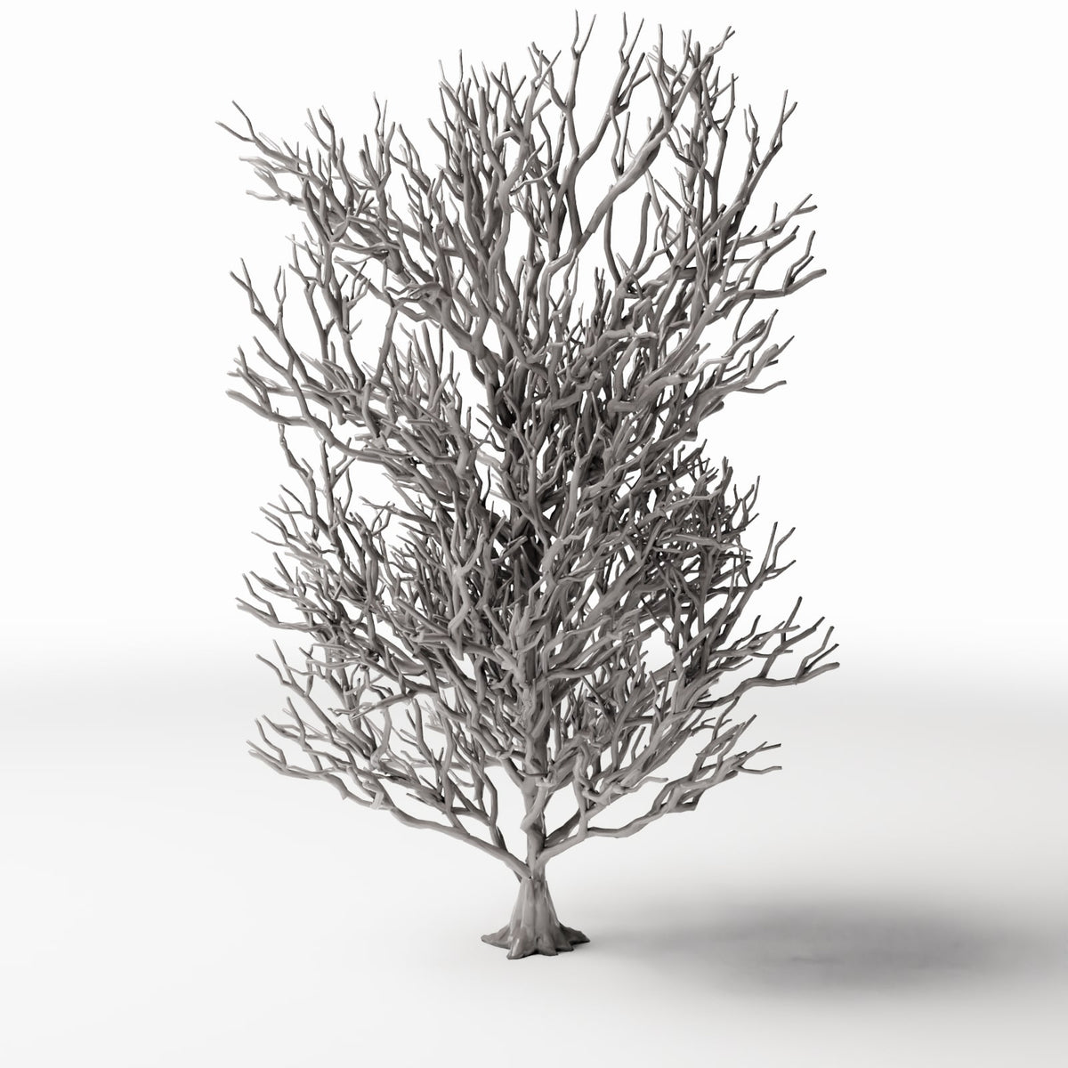 Photo produit pour diorama et modélisme 2 : Végétation pour diorama : grand arbre sans feuilles avec racines (Ref. 1092D)