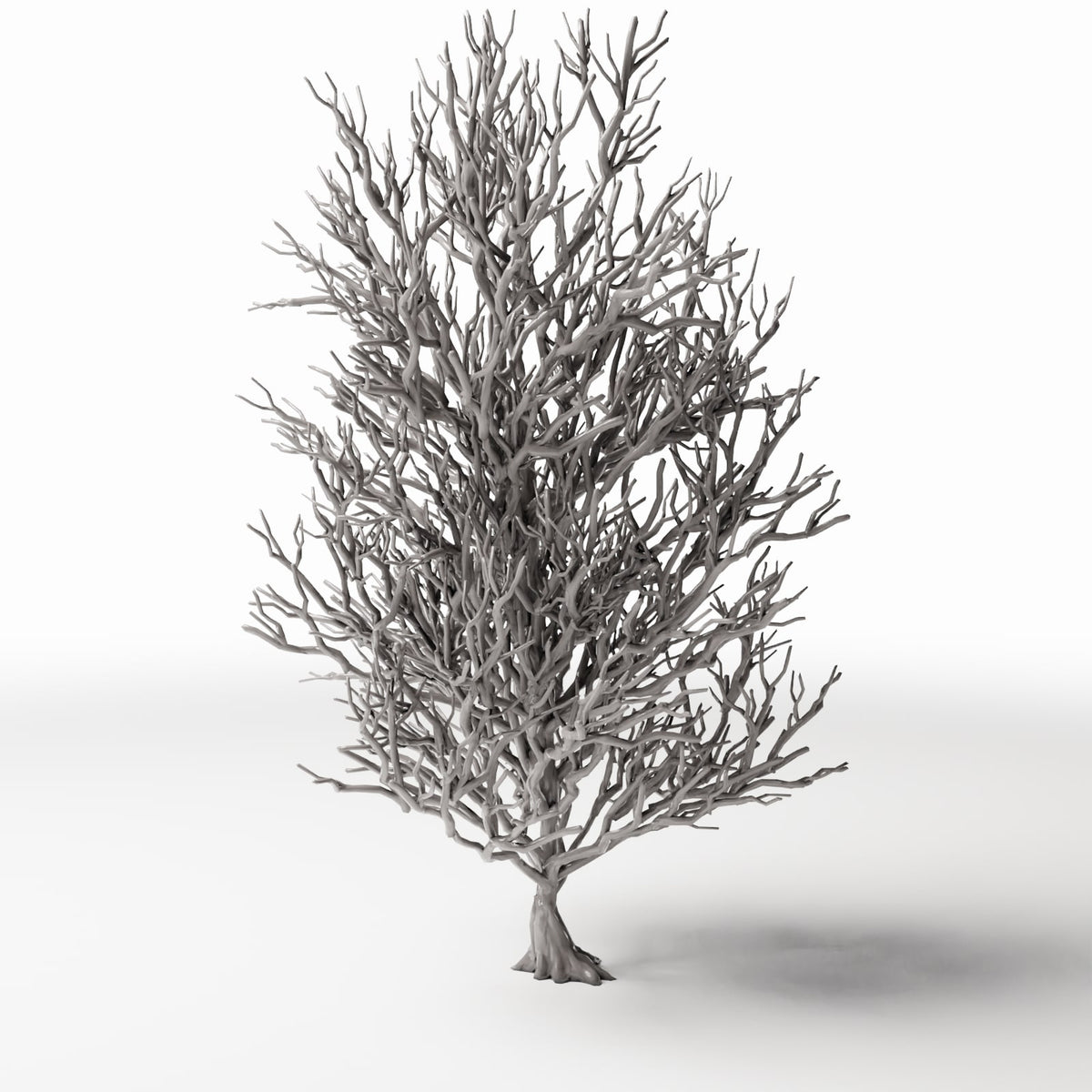 Photo produit pour diorama et modélisme 3 : Végétation pour diorama : grand arbre sans feuilles avec racines (Ref. 1092D)