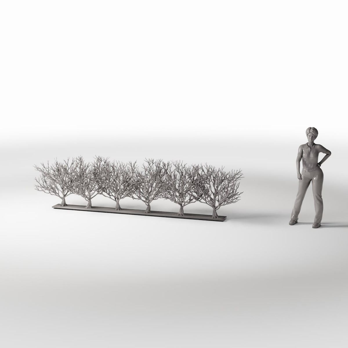 Photo produit pour diorama et modélisme 1 : Plantes de diorama : rangée d’arbres sans feuilles (Ref. 1093D)