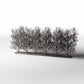 Photo produit pour diorama et modélisme 0 : Plantes pour diorama : rangée d’arbustes ornementaux sans feuilles (Ref. 1094D)