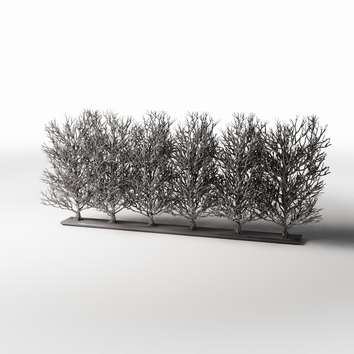 Photo produit pour diorama et modélisme 0 : Plantes pour diorama : rangée d’arbustes ornementaux sans feuilles (Ref. 1094D)
