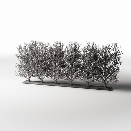 Photo produit pour diorama et modélisme 0 : Plantes pour diorama : rangée d’arbustes ornementaux sans feuilles (Ref. 1094D)