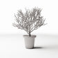 Photo produit pour diorama et modélisme 0 : Plantes pour diorama : plante en pot avec arbuste ornemental ramifié (Ref. 1096D)