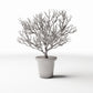 Photo produit pour diorama et modélisme 2 : Plantes pour diorama : plante en pot avec arbuste ornemental ramifié (Ref. 1096D)