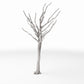 Photo produit pour diorama et modélisme 2 : Végétation pour diorama : arbre nu avec racines (Ref. 1103D)