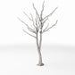 Photo produit pour diorama et modélisme 3 : Végétation pour diorama : arbre nu avec racines (Ref. 1103D)