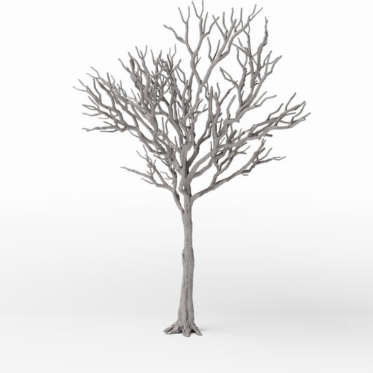 Photo produit pour diorama et modélisme 0 : Plantes pour diorama : arbre caduc détaillé sans feuilles (Ref. 1104D)