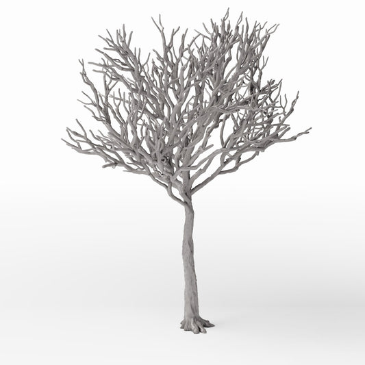 Photo produit pour diorama et modélisme 0 : Plantes de diorama : arbre détaillé sans feuilles (Ref. 1106D)