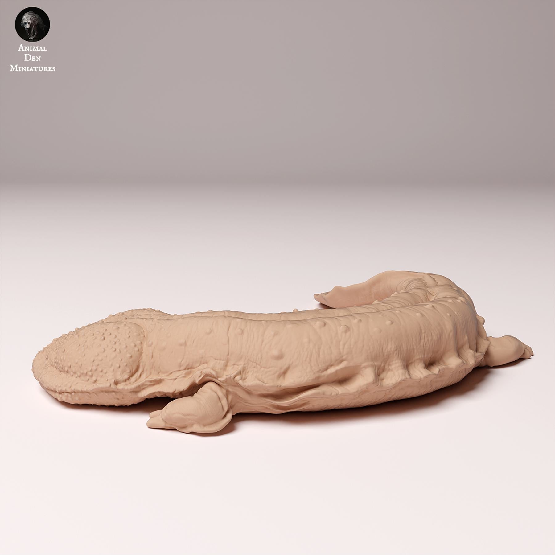 Produktfoto Tier Figur Diorama, Modellbau: 0: Wildtier Figur: Japanischer Riesensalamander (Ref 24_10_04)