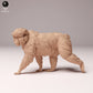 Produktfoto Tier Figur Diorama, Modellbau: 0: Wildtier Figur: Japanischer Makak – Schneeaffe (Ref 24_10_09)