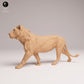 Photo de produit Figurine animale diorama, modélisme : 0 : Figurine d'animal de savane : jeune lion – subadulte (Réf 25_08_04)