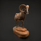 Photo de produit Figurine d'animal Diorama, Modélisme : 0 : Figurine d'animal sauvage : Mouflon (Réf 01_01_89)