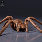 Photo du produit, figurine animale Animal Den Miniatures 6 : figurine d’arachnide : mygale de Goliath (26_10_01)
