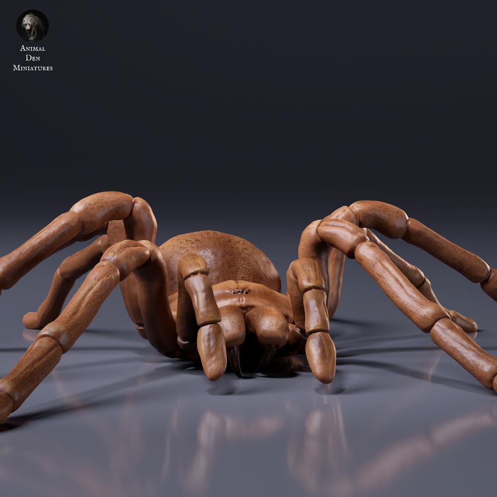 Photo du produit, figurine animale Animal Den Miniatures 6 : figurine d’arachnide : mygale de Goliath (26_10_01)
