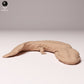 Produktfoto Tier Figur Diorama, Modellbau: 0: Wildtier Figur: Japanischer Riesensalamander (Ref 24_10_04)