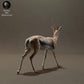 Photo de produit Figurine d'animal Diorama, modélisme : 0 : Figurine d'animaux de la savane : Gazelle de Thomson (Réf 01_01_57)