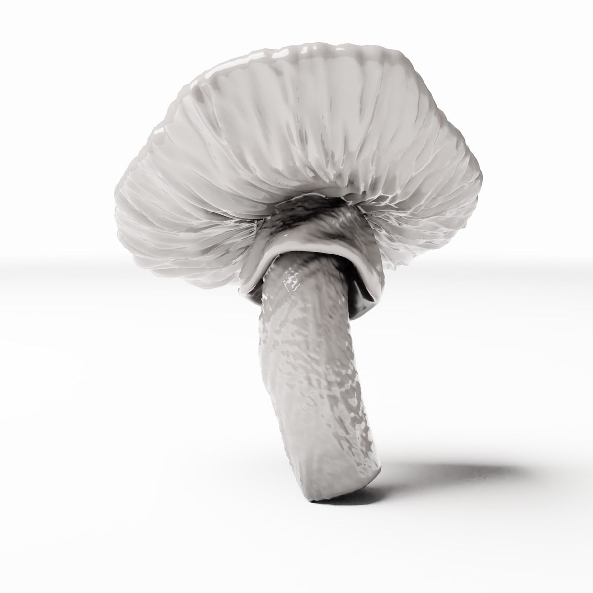 Photo 2 du produit de modélisme pour diorama : plantes de diorama : champignon forestier tacheté (réf. 440D)