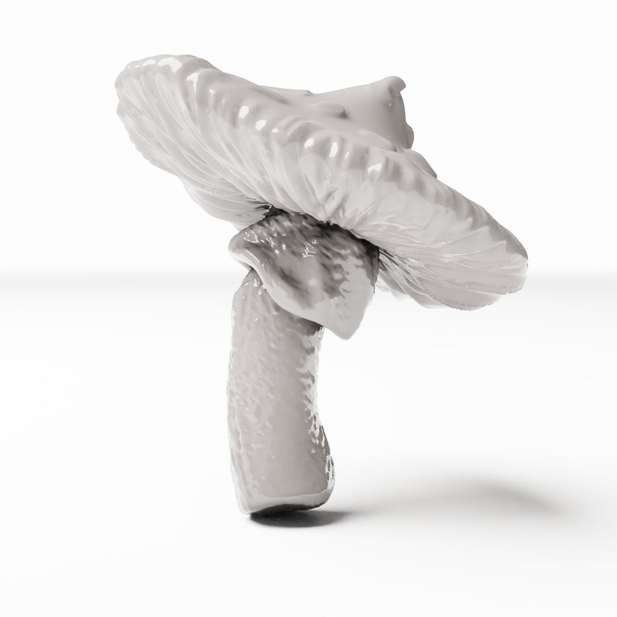 Photo produit de modélisme de diorama 3 : plantes de diorama : champignon forestier tacheté (réf. 440D)
