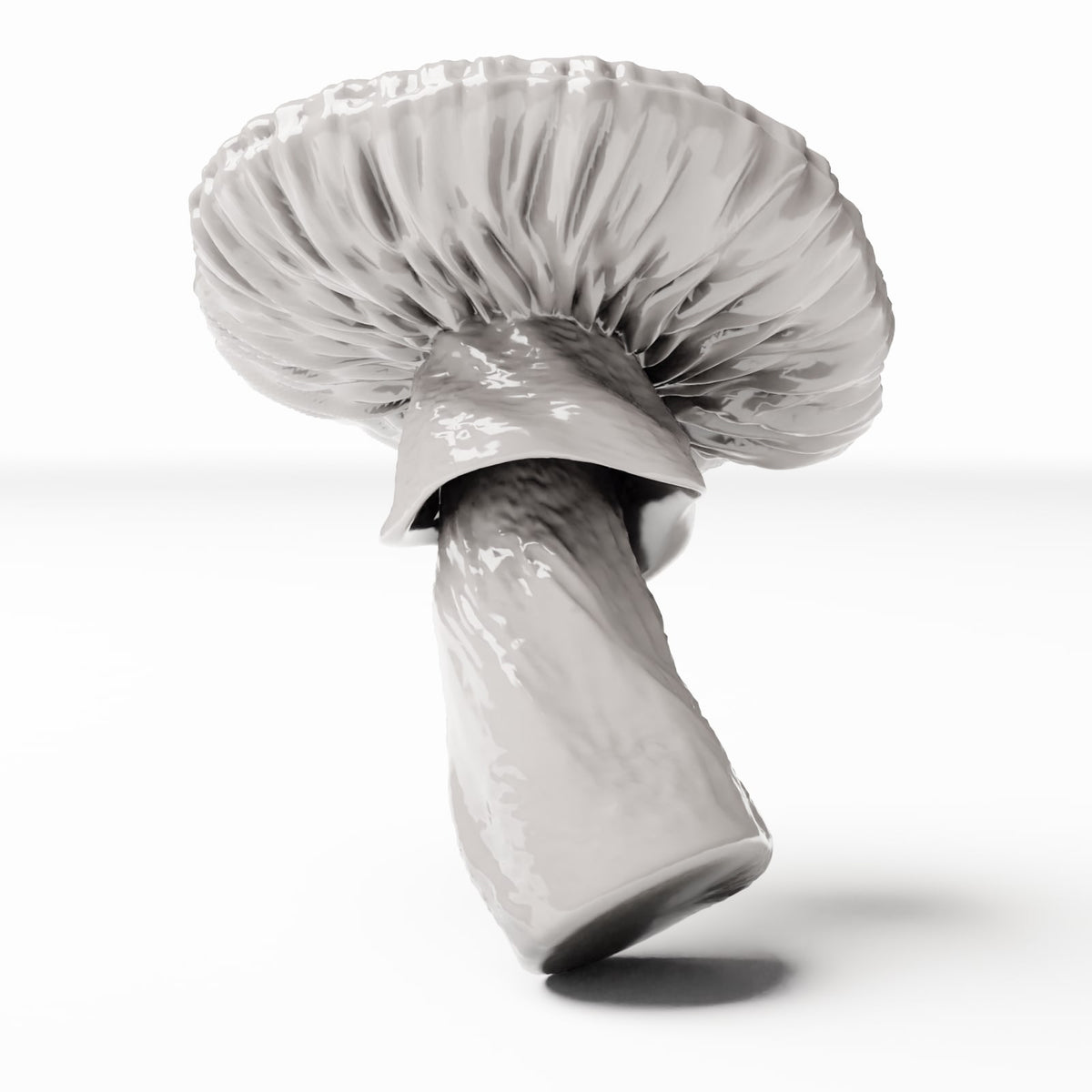 Photo de produit de modélisme de diorama 3 : plantes pour diorama : champignon tacheté (réf. 442D)