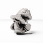 Photo produit de modélisme de diorama 0 : Plantes de diorama : groupe de champignons tachetés (Réf. 445D)