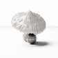 Photo produit de modélisme de diorama 2 : plantes pour diorama : ensemble de champignons tachetés (réf. 447D)