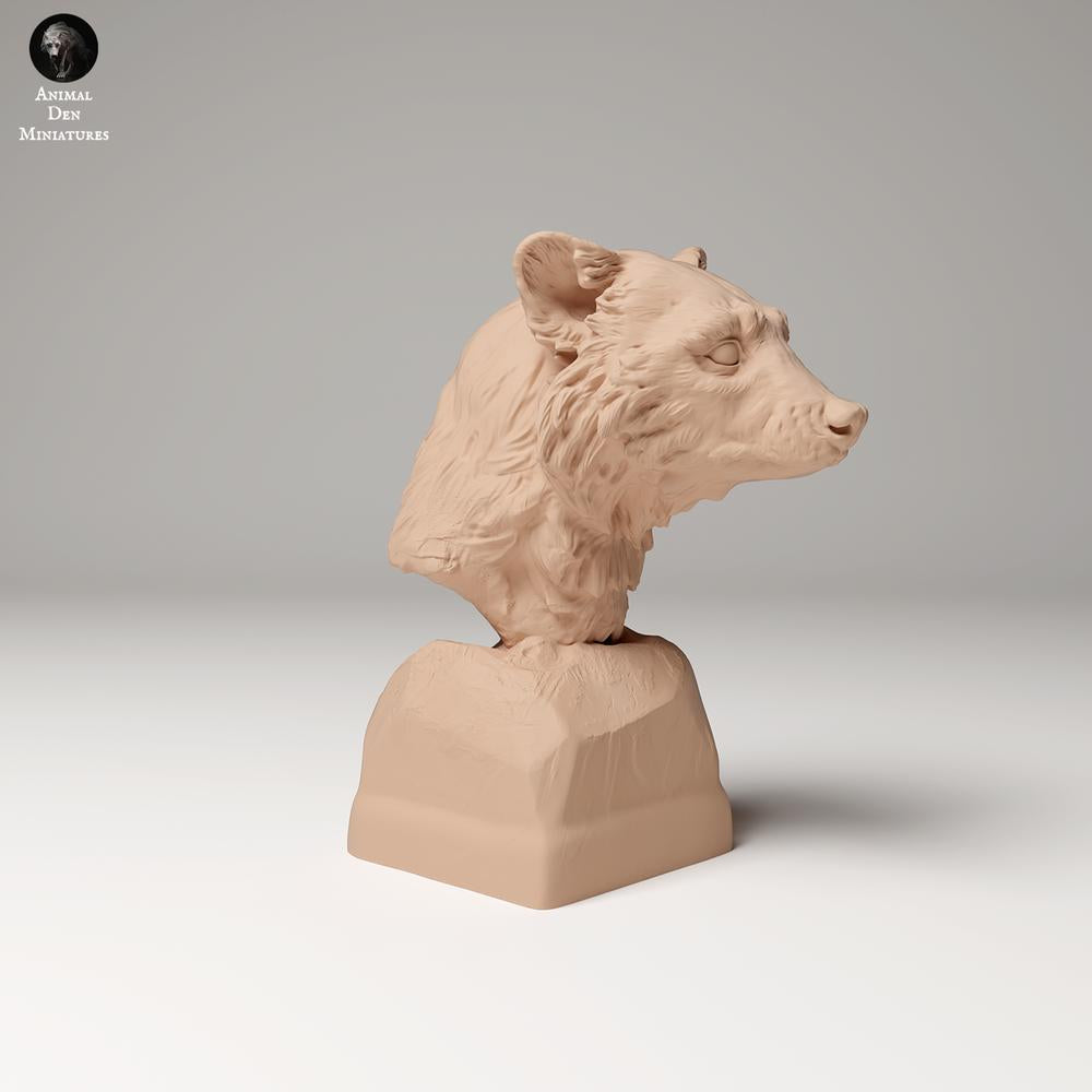Photo du produit 0 : figurine d’animal sauvage : raton laveur - buste (24_09_10)