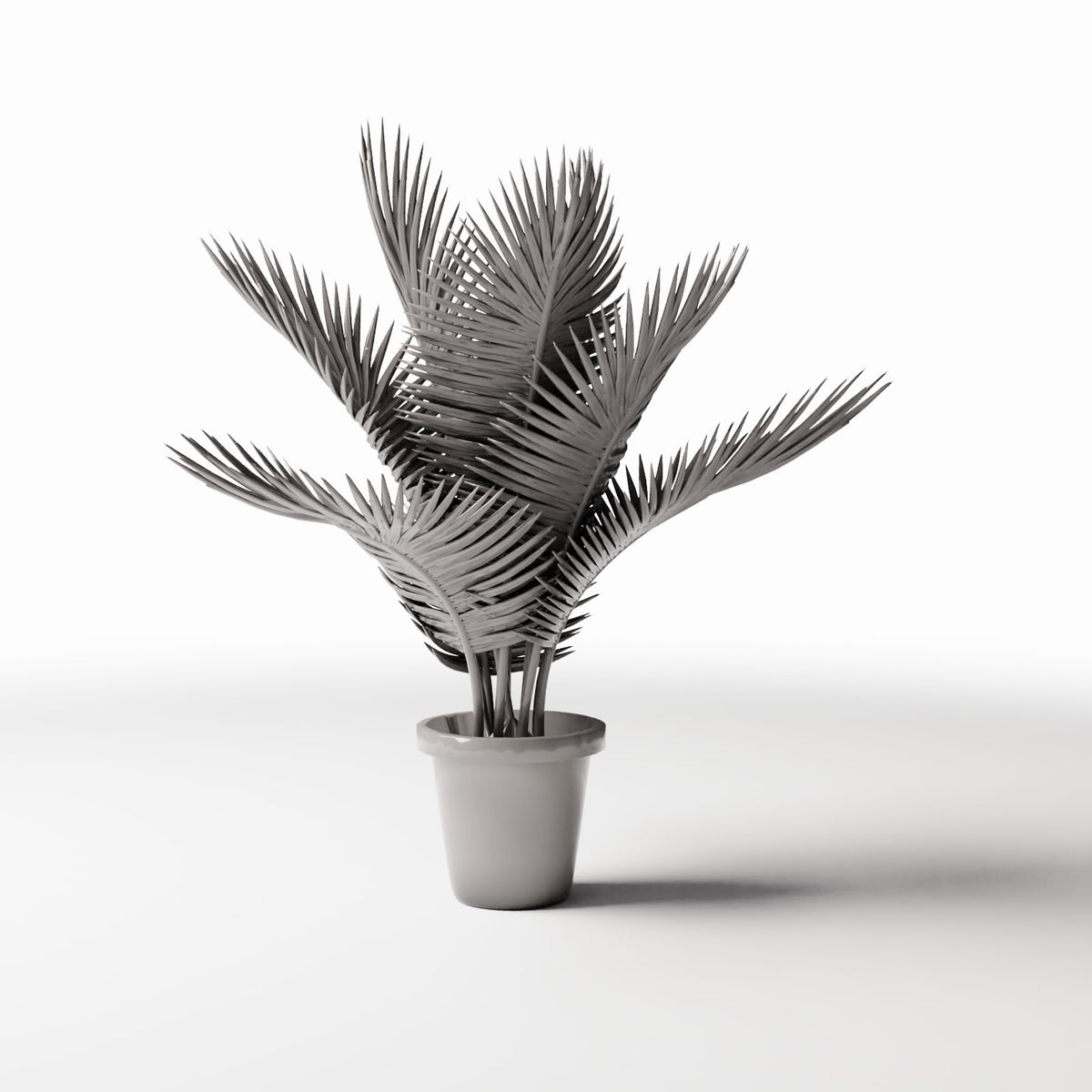Photo produit de modélisme de diorama 2 : plantes de diorama : palmier sagou en pot (Réf. 502D)