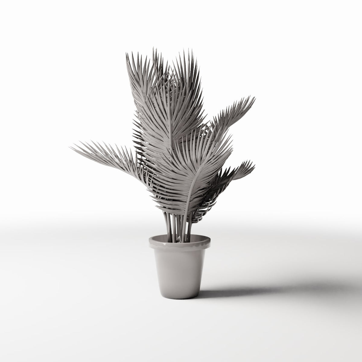 Photo de produit de modélisme de diorama 3 : plantes de diorama : palmier sagou en pot (réf. 502D)