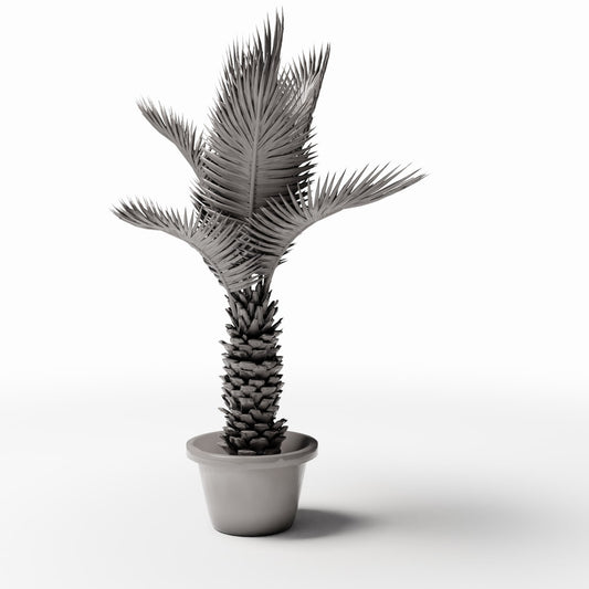 Photo produit de modélisme de diorama 0 : plantes pour diorama : palmier sagou en pot (réf. 503D)