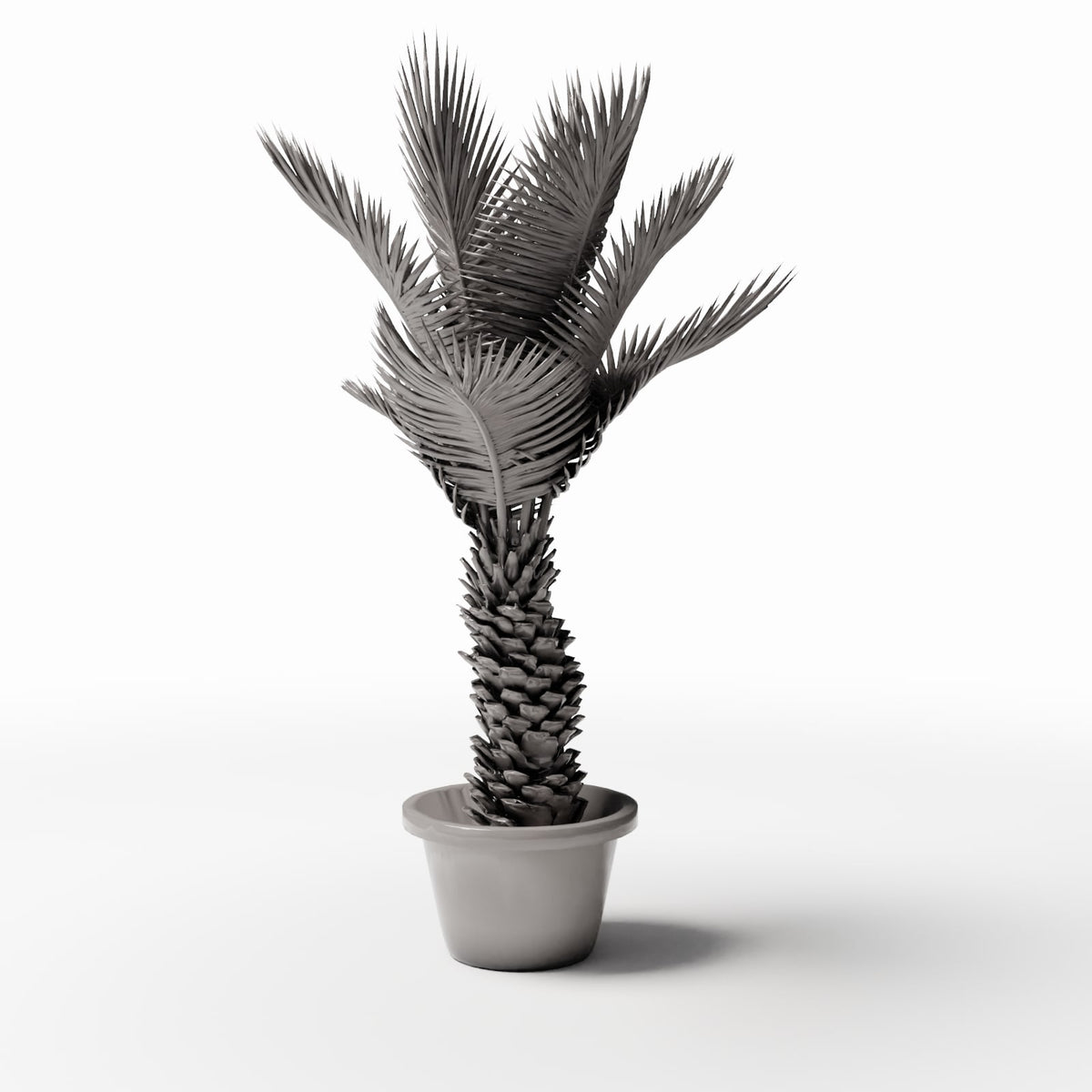 Photo produit de modélisme de diorama 2 : plantes de diorama : palmier sagou en pot (réf. 503D)